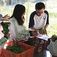 CSR - 2019 DSHK Organic Farm Day